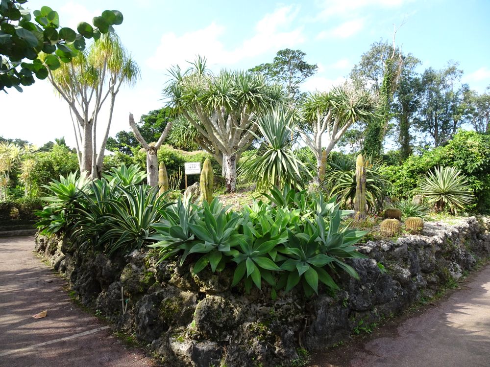 東南植物楽園_49