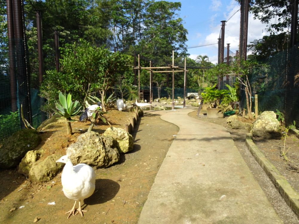 東南植物楽園_52