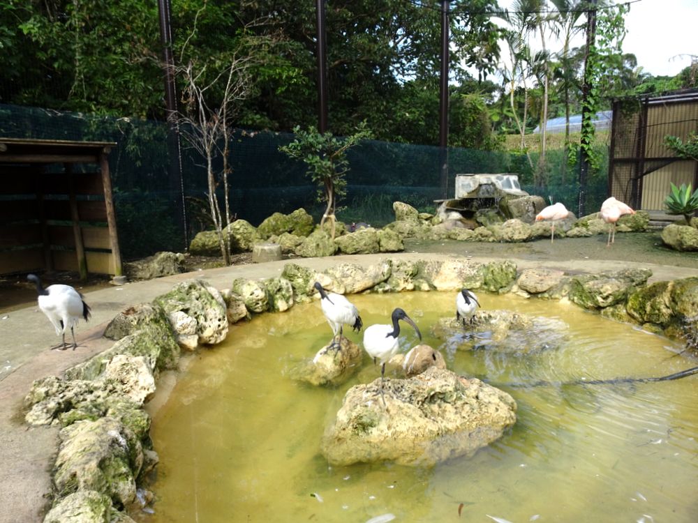 東南植物楽園_53