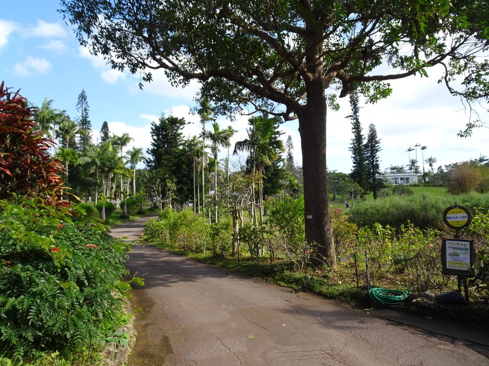 東南植物楽園_56