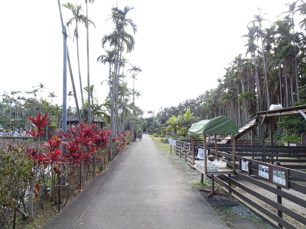 東南植物楽園_57