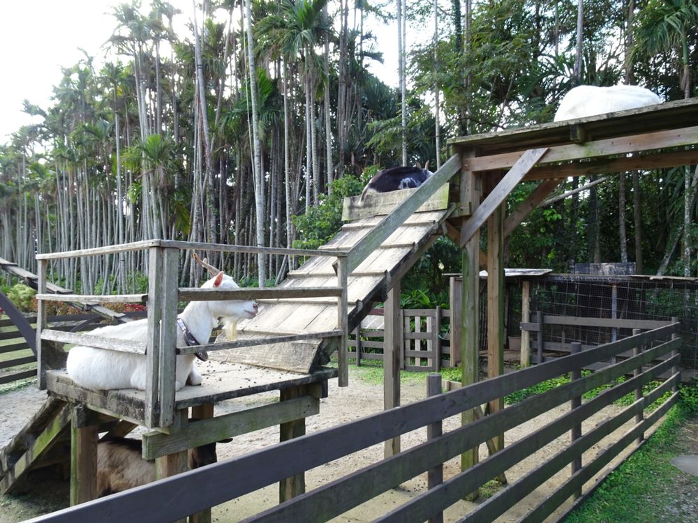 東南植物楽園_58