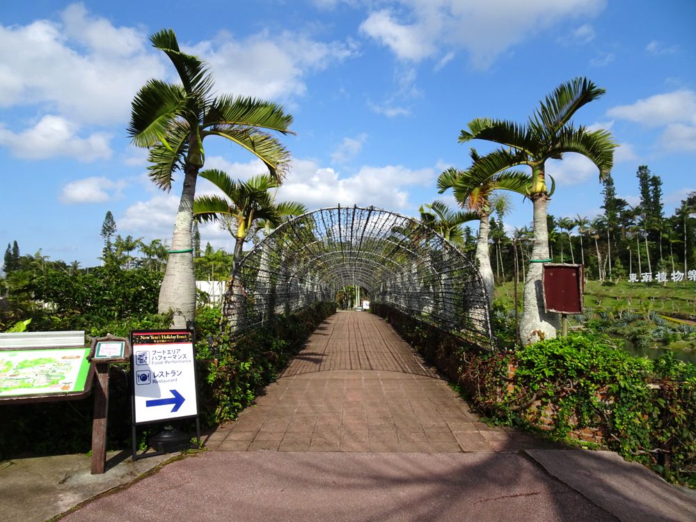 東南植物楽園_6