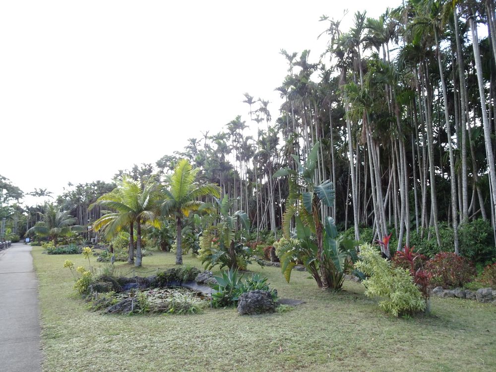 東南植物楽園_60