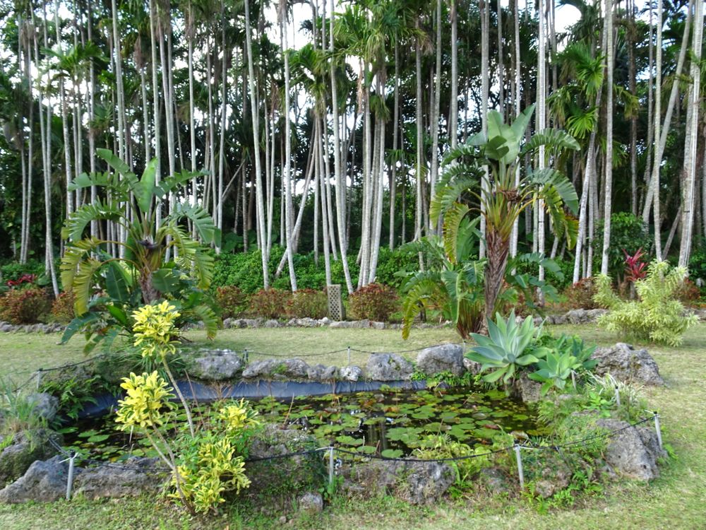 東南植物楽園_61