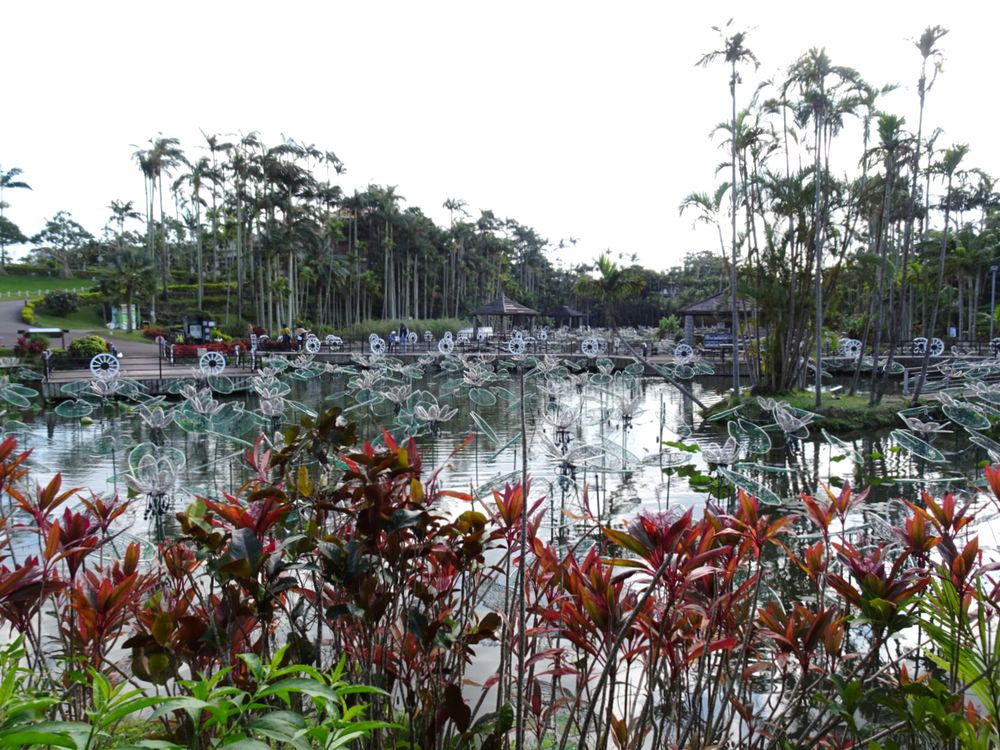 東南植物楽園_65