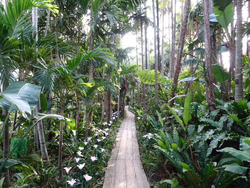 東南植物楽園_71