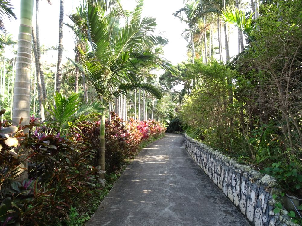 東南植物楽園_73