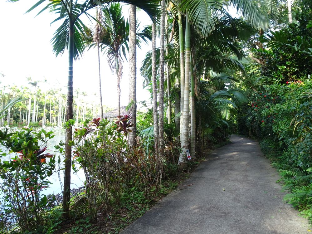 東南植物楽園_75