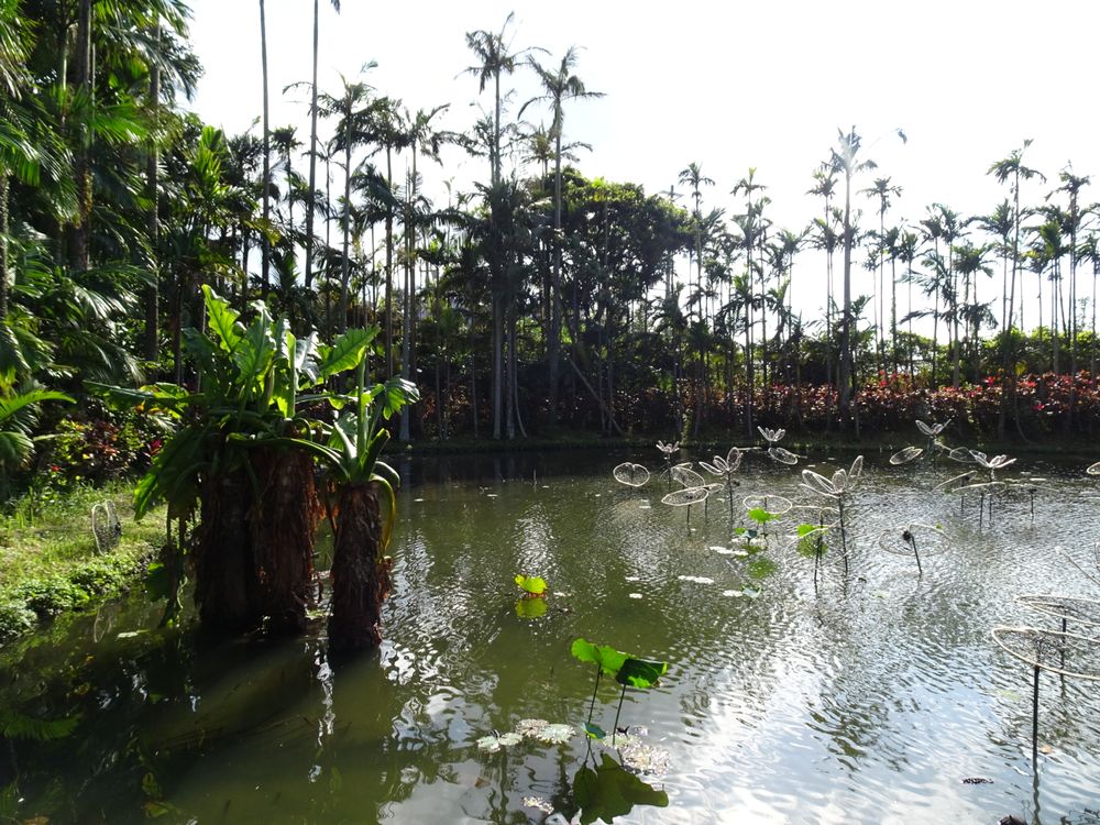 東南植物楽園_76