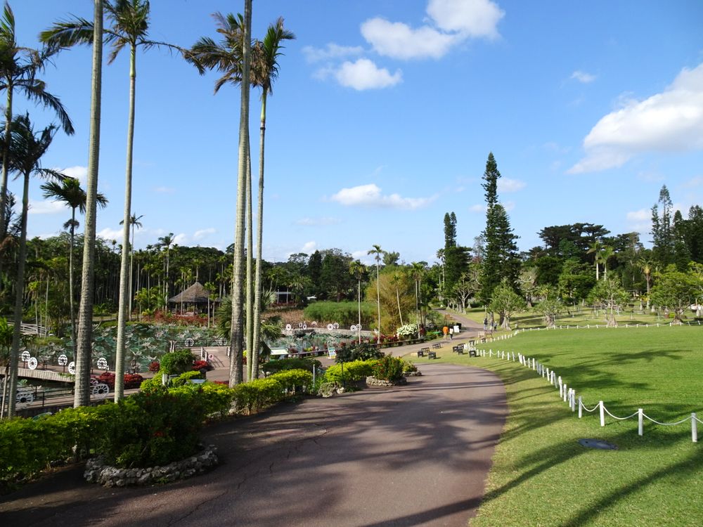 東南植物楽園_80