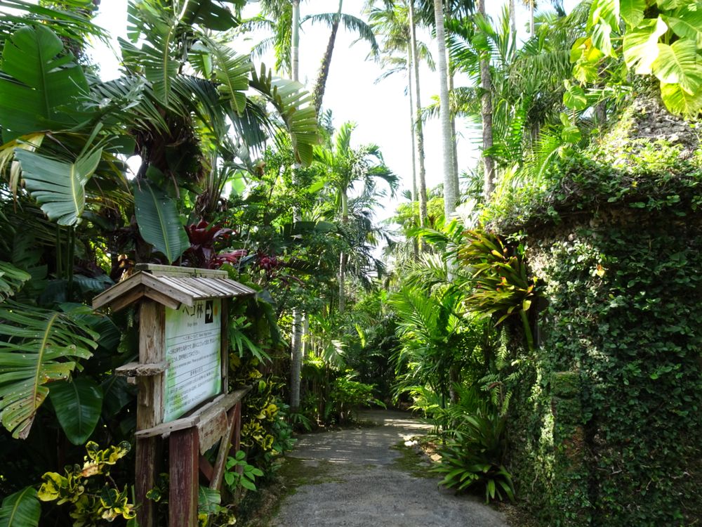 東南植物楽園_85