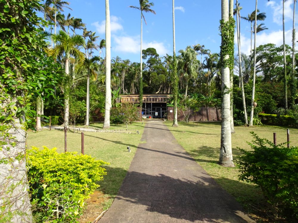 東南植物楽園_88