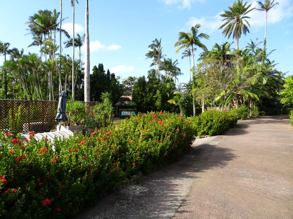 東南植物楽園_89