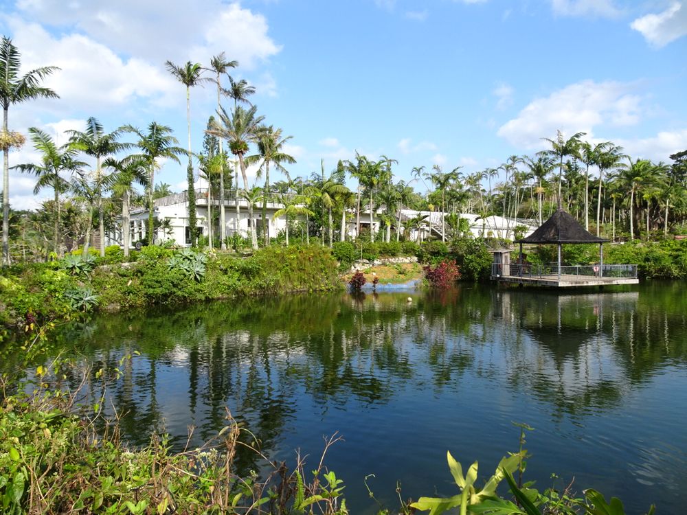 東南植物楽園_9