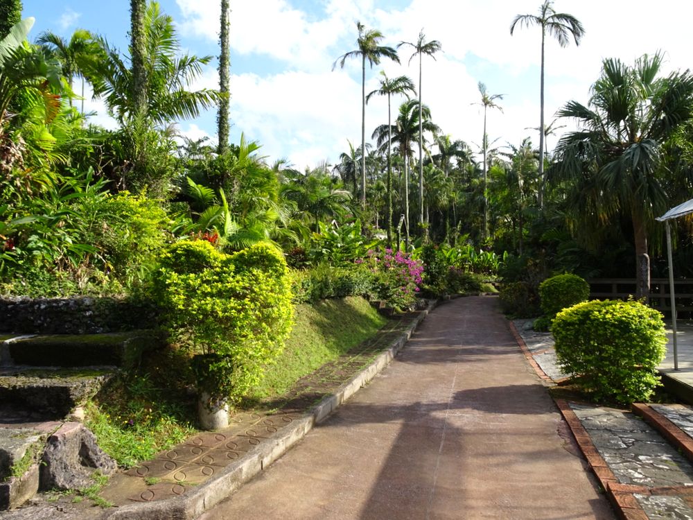 東南植物楽園_90