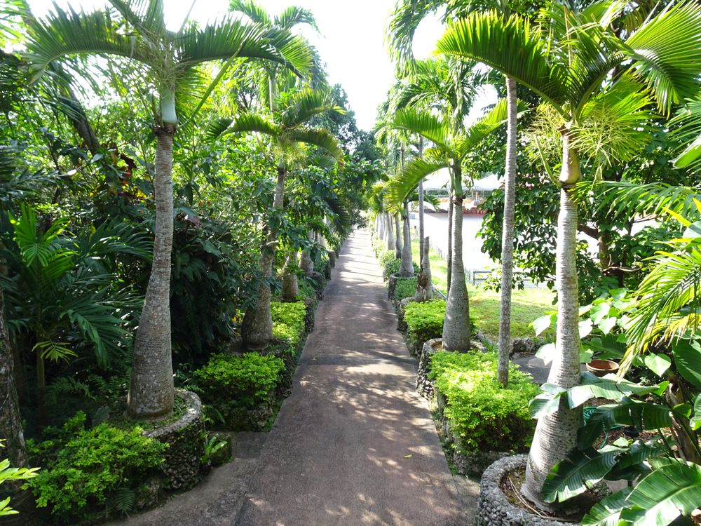 東南植物楽園_92