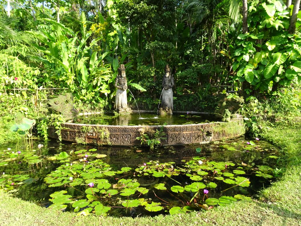 東南植物楽園_98