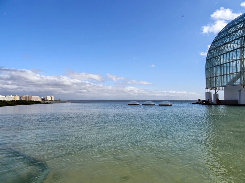 葛西臨海水族園_10