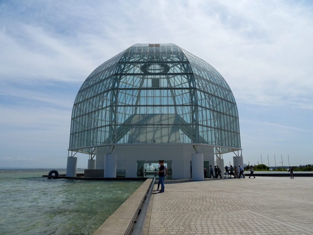 葛西臨海水族園_12