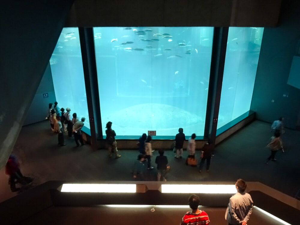 葛西臨海水族園_21