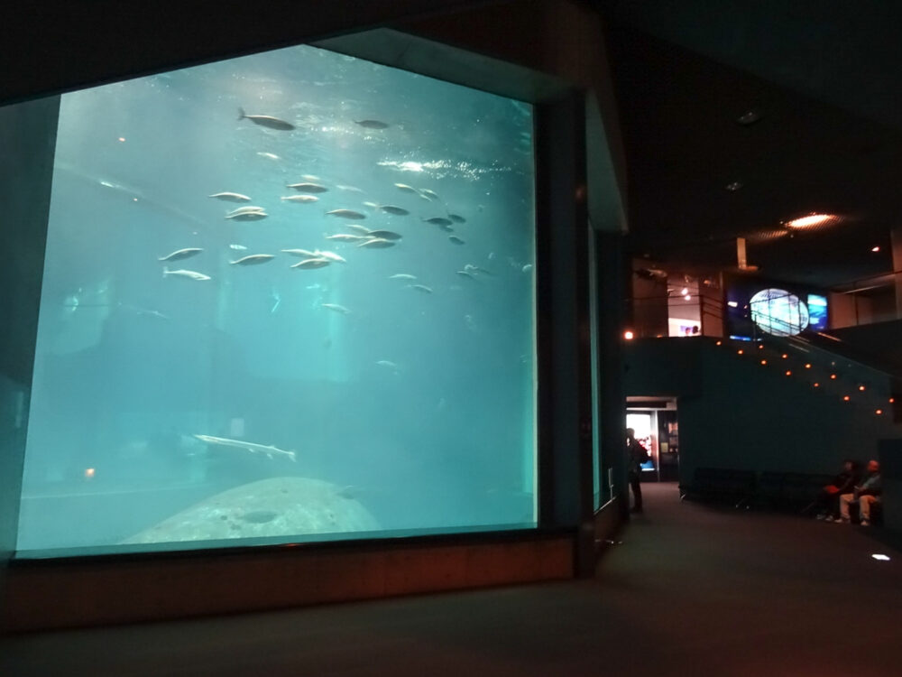 葛西臨海水族園_24