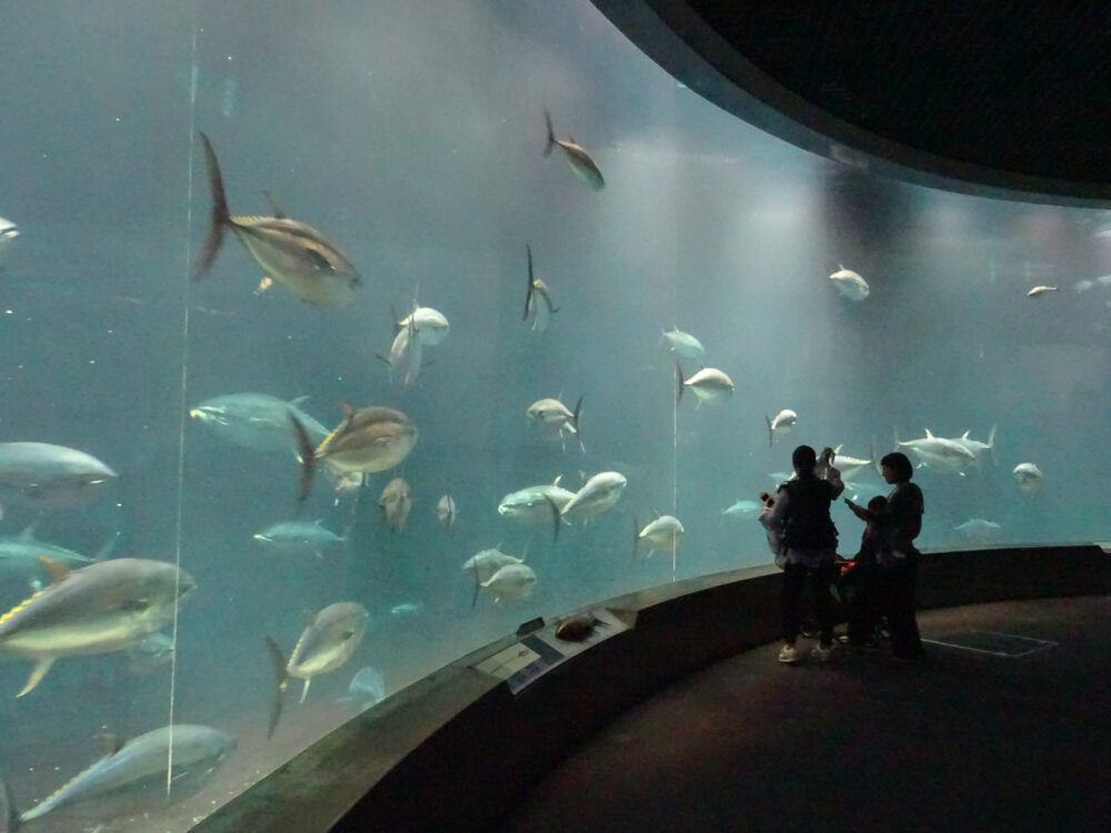 葛西臨海水族園_28