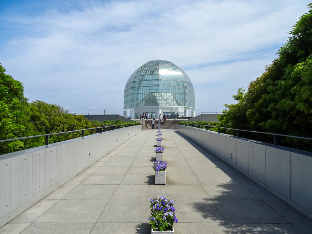 葛西臨海水族園_3