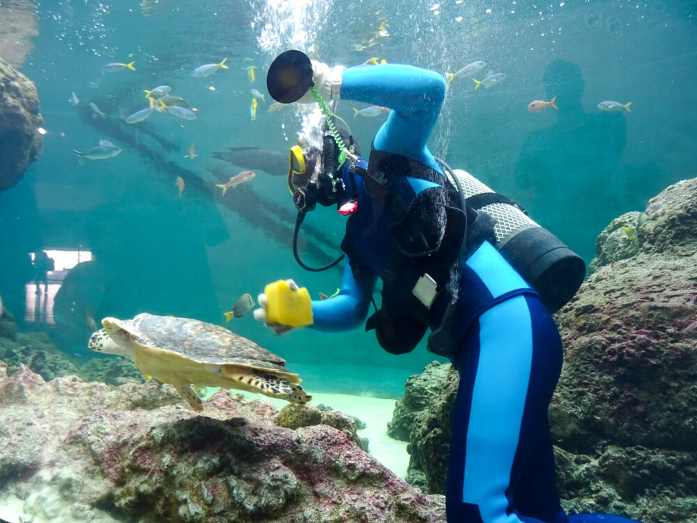 葛西臨海水族園_36