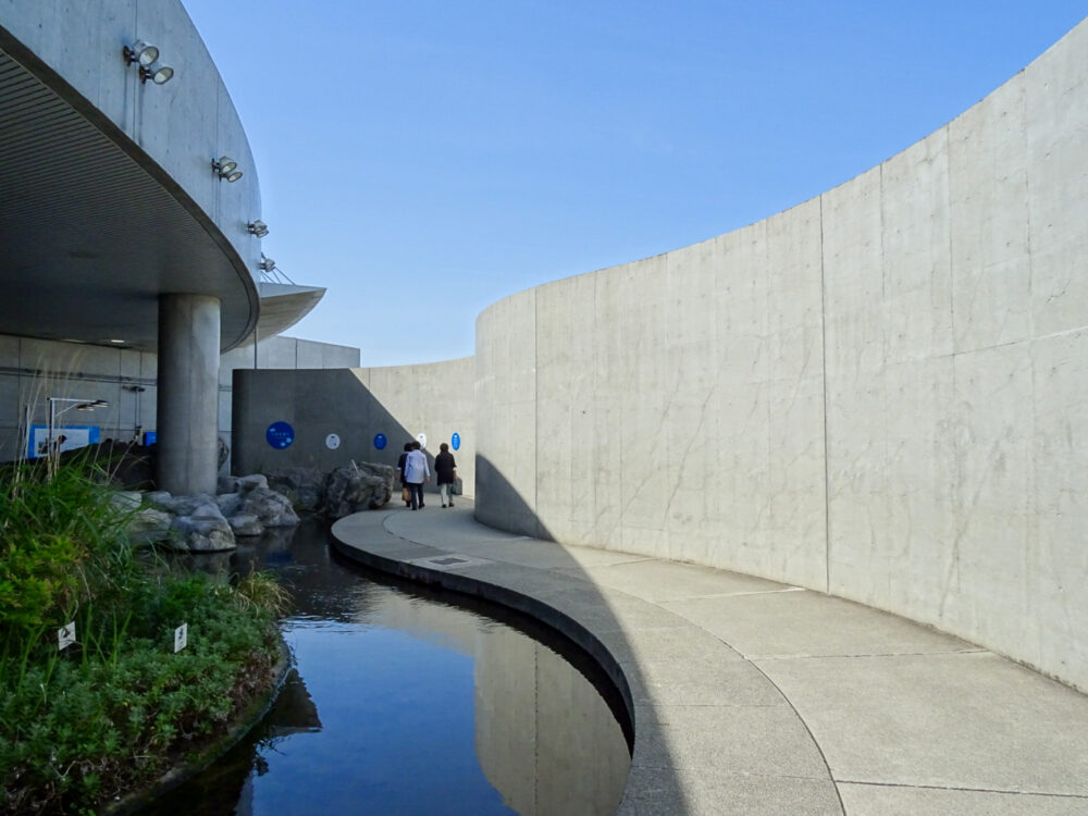 葛西臨海水族園_43