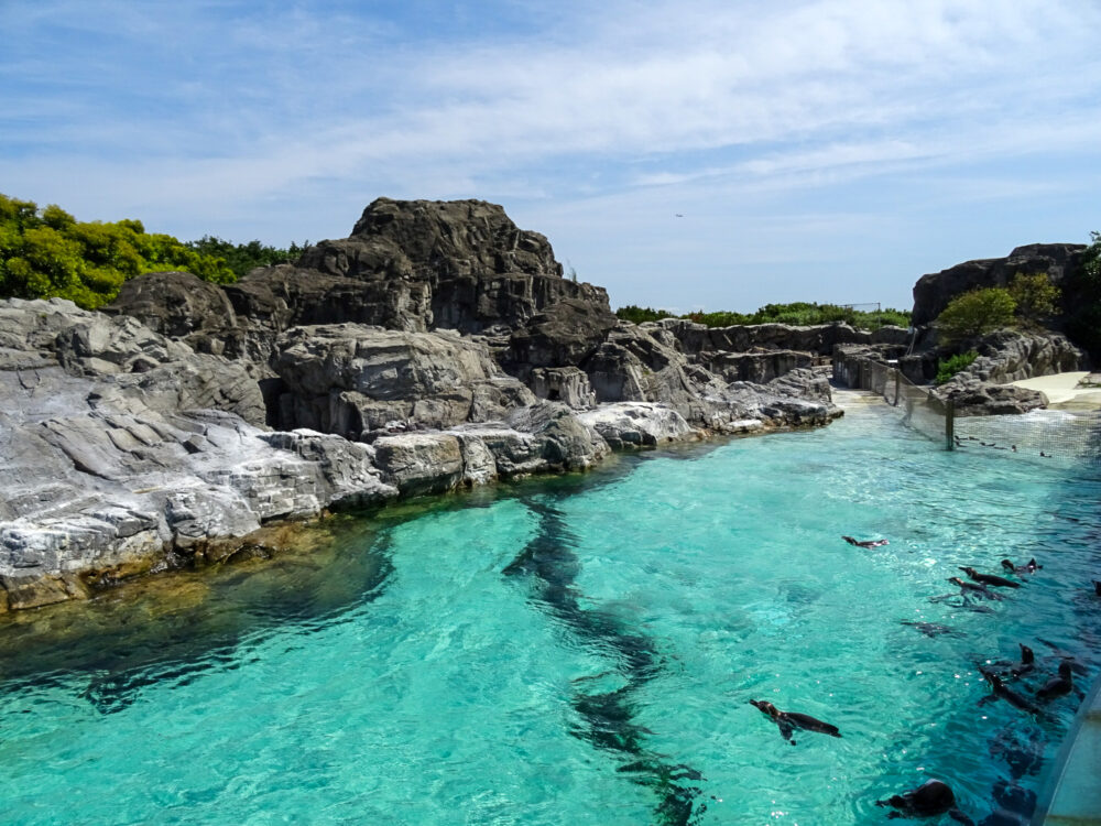 葛西臨海水族園_45