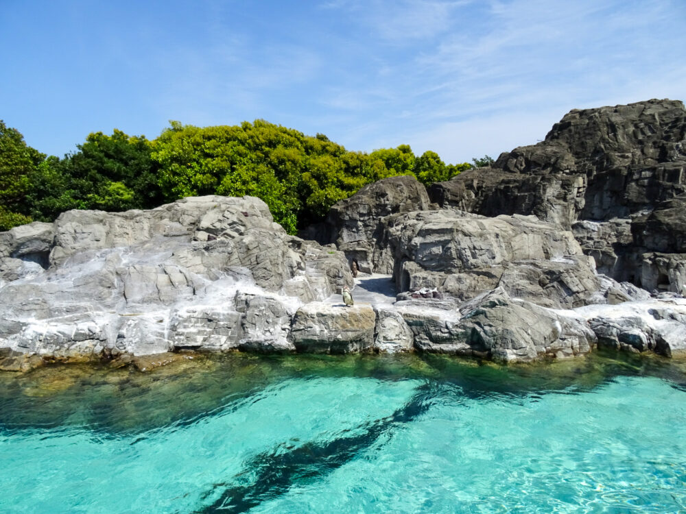 葛西臨海水族園_46