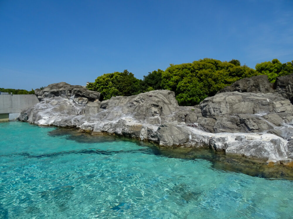 葛西臨海水族園_47