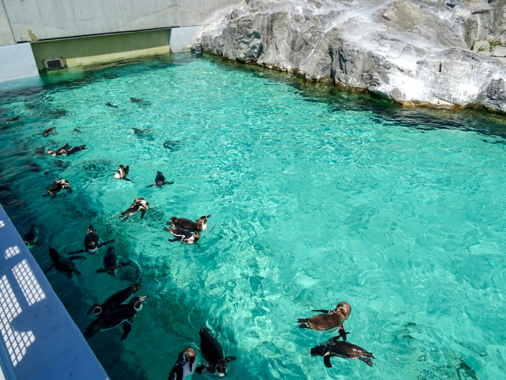 葛西臨海水族園_48