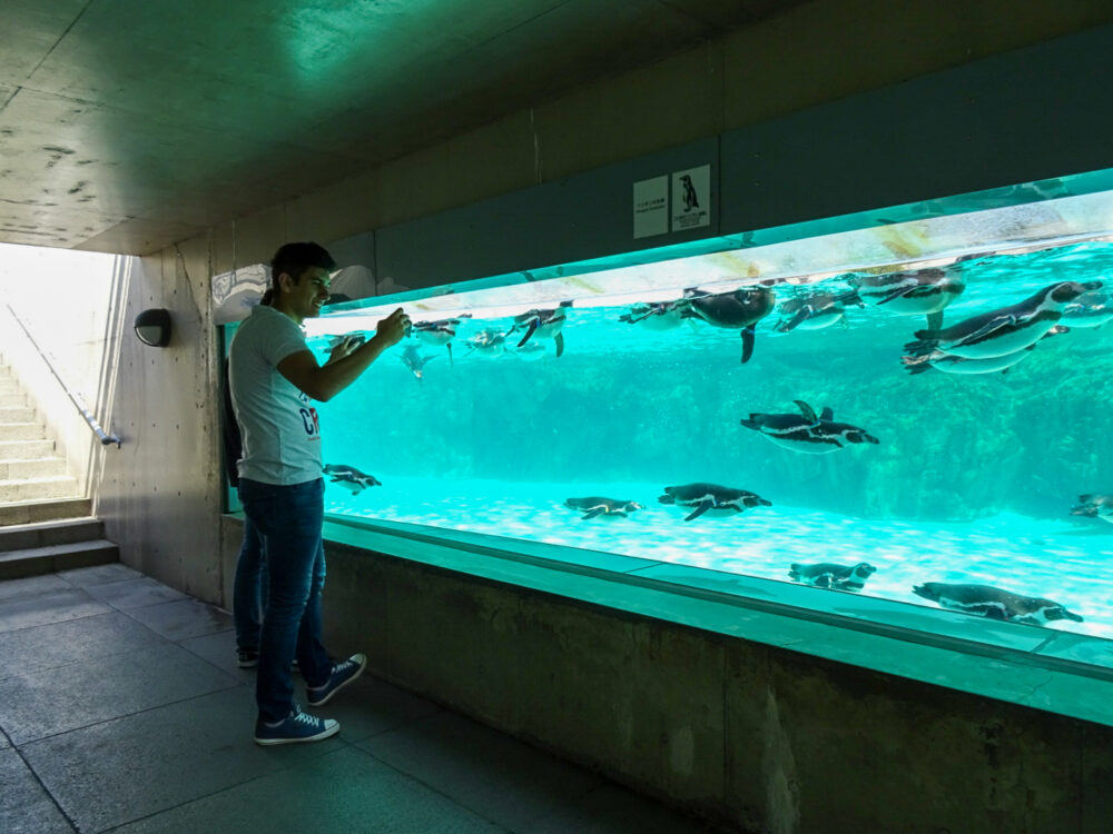 葛西臨海水族園_50