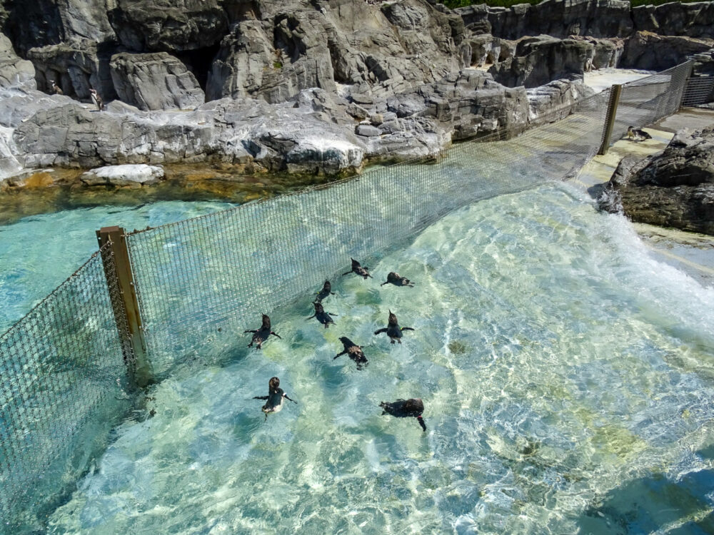 葛西臨海水族園_51