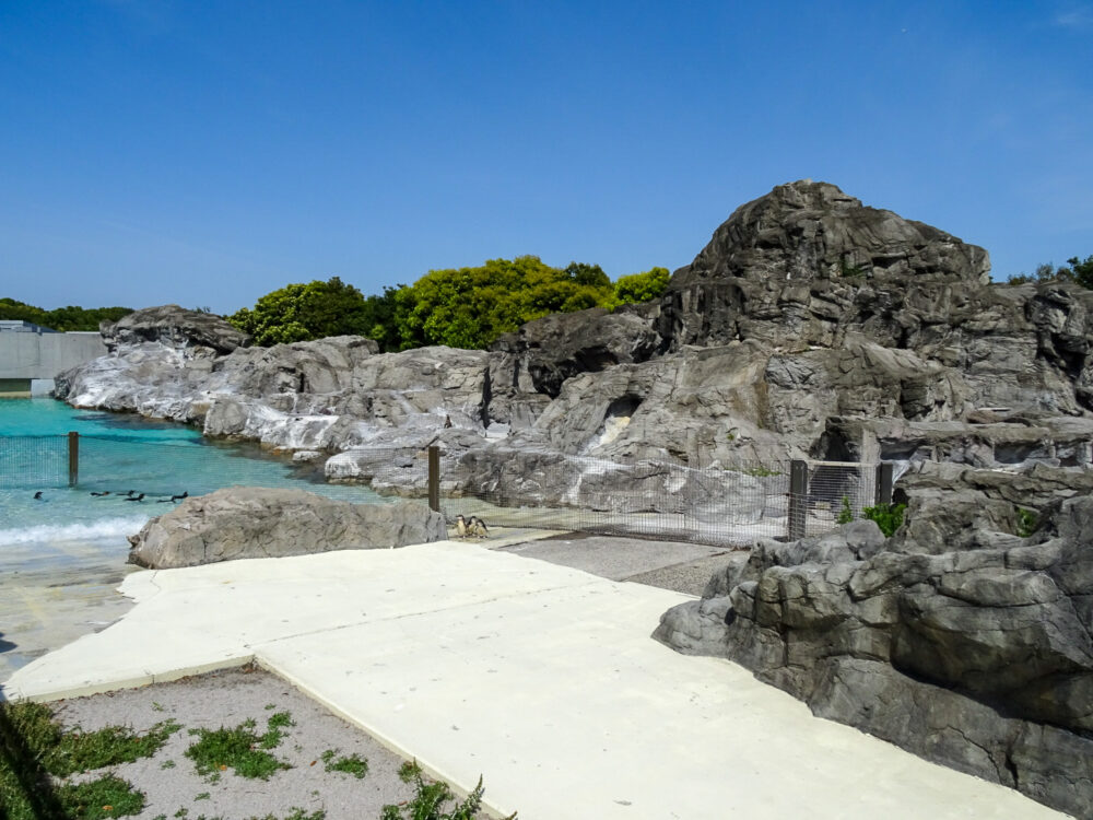 葛西臨海水族園_52