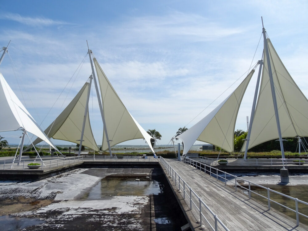 葛西臨海水族園_55