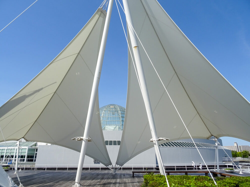 葛西臨海水族園_57