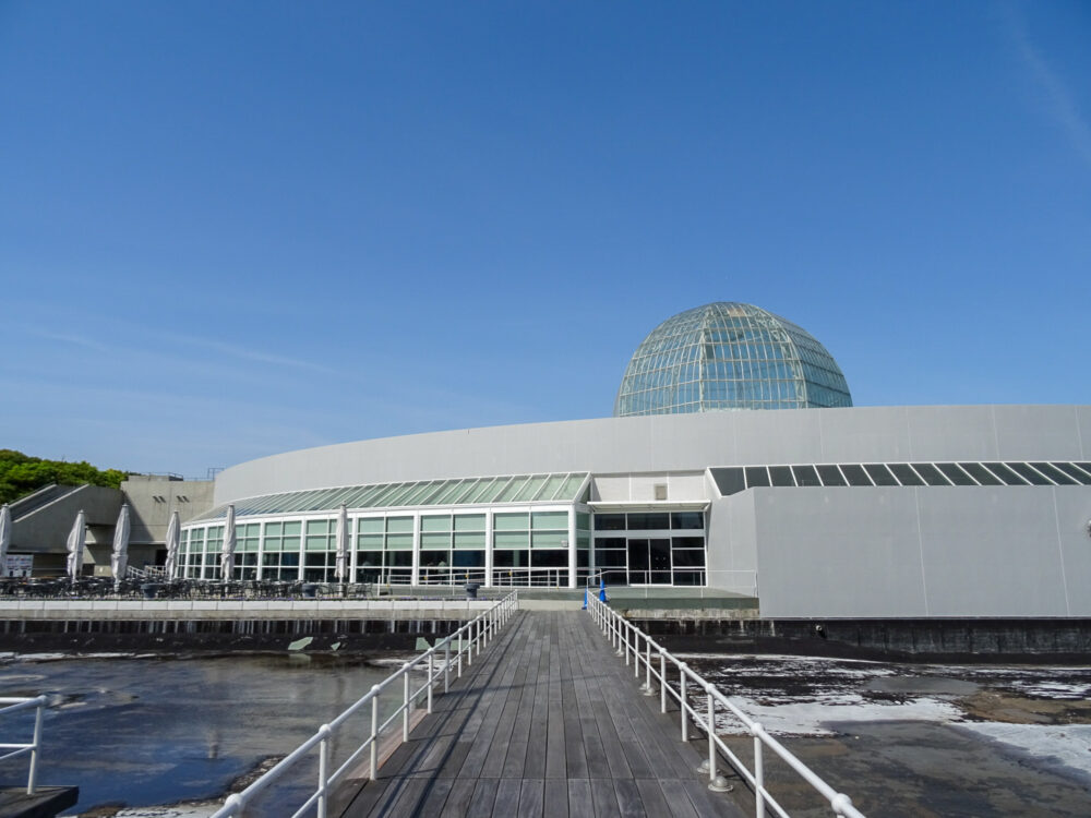 葛西臨海水族園_58