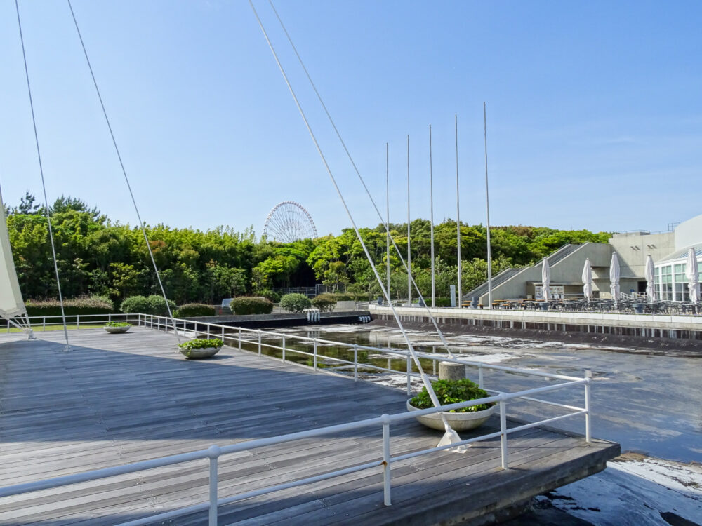 葛西臨海水族園_59