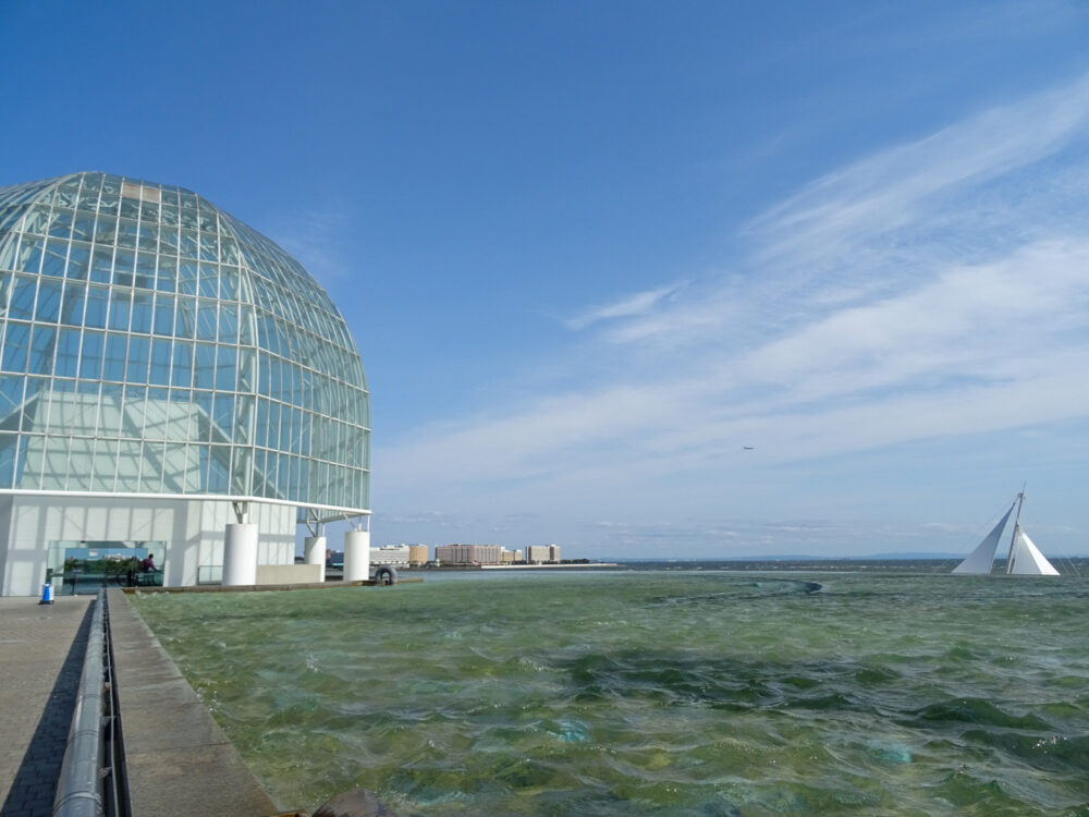 葛西臨海水族園_8