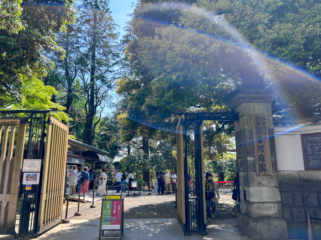 旧古河庭園_2