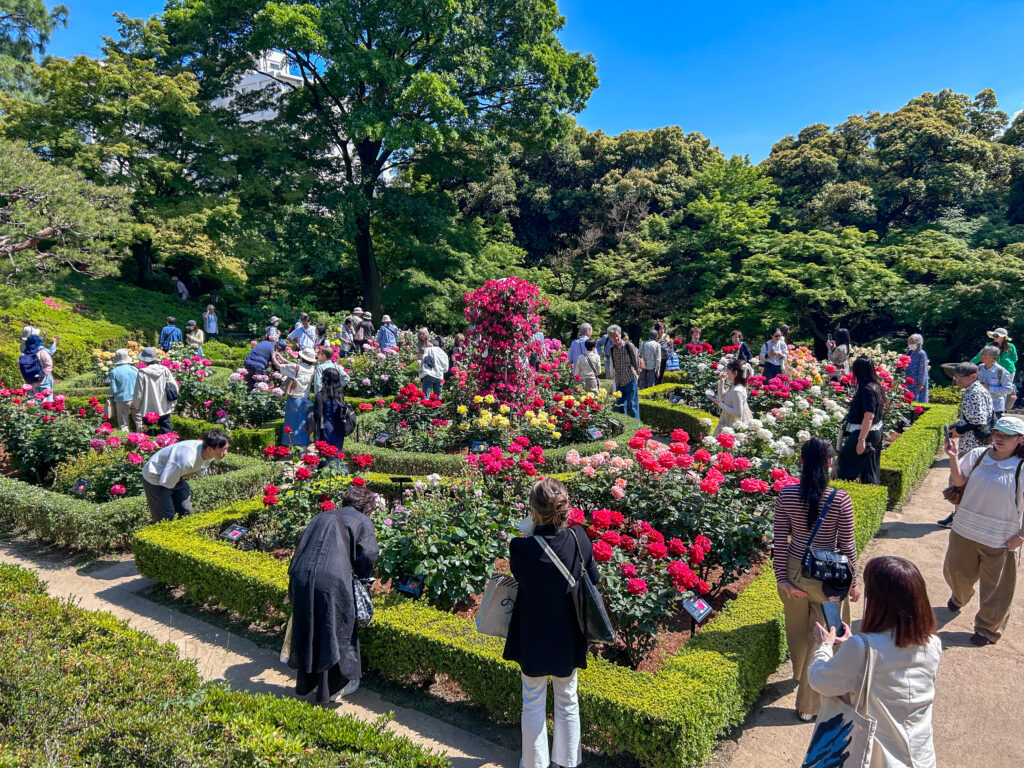 旧古河庭園_42