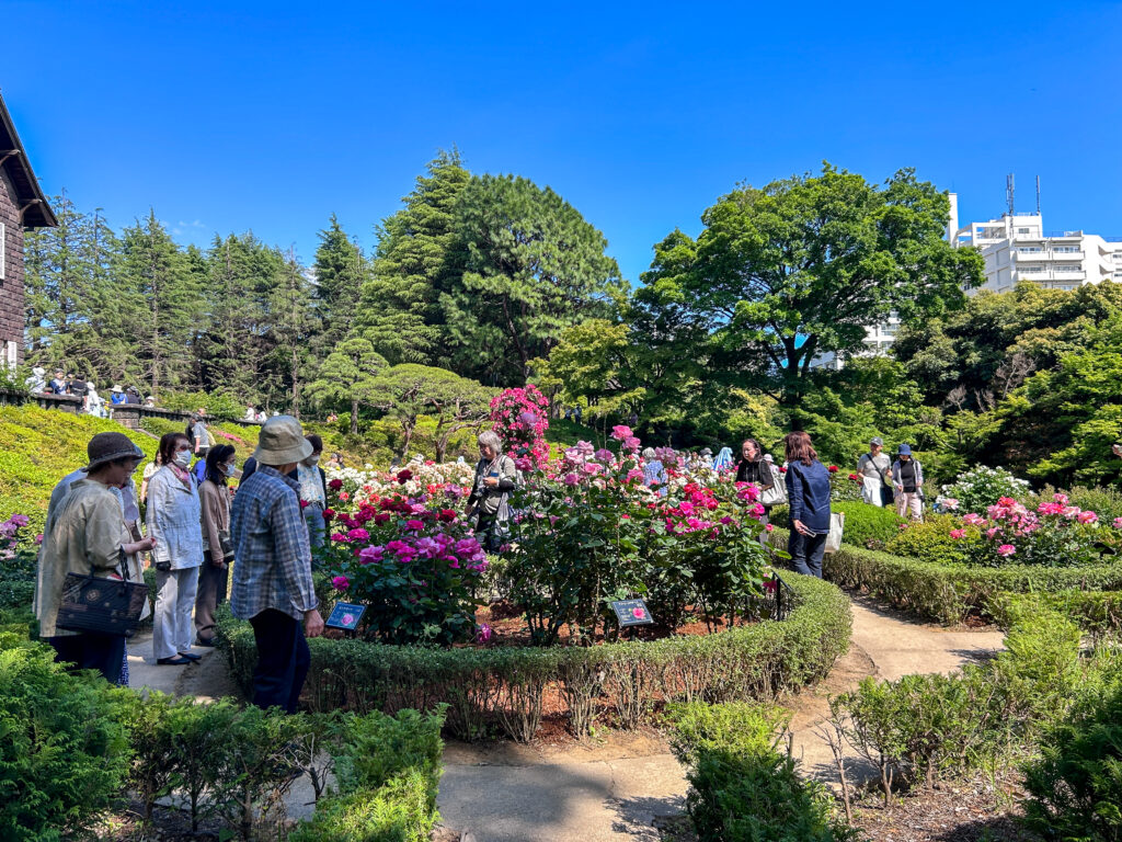 旧古河庭園_55