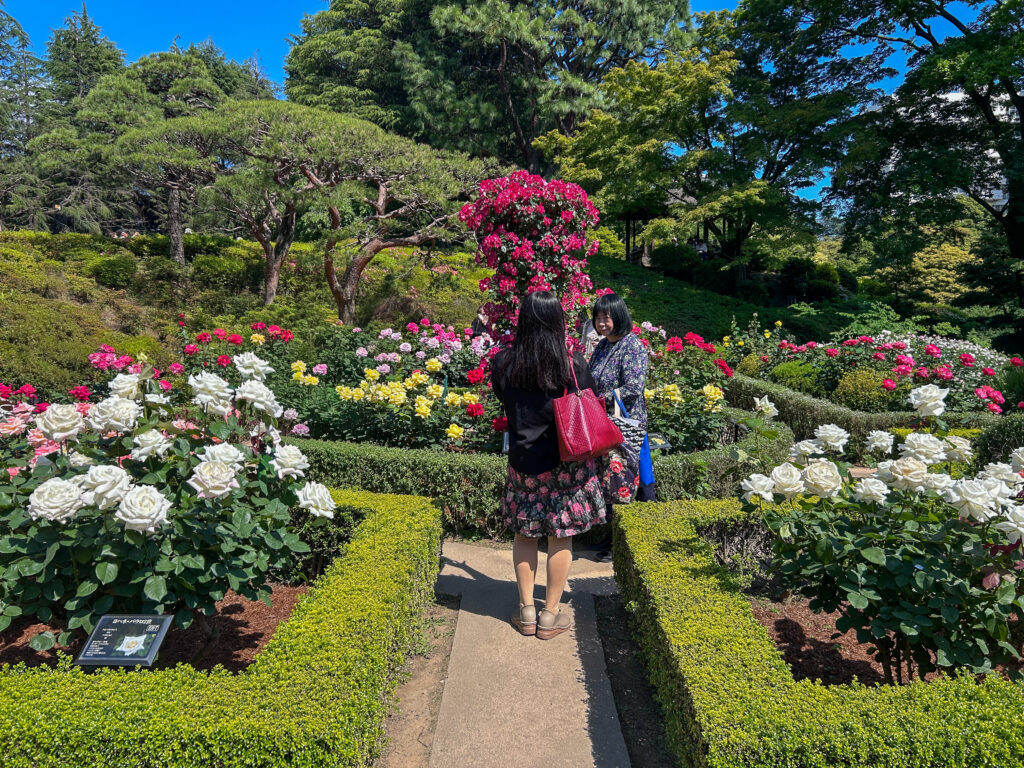 旧古河庭園_61