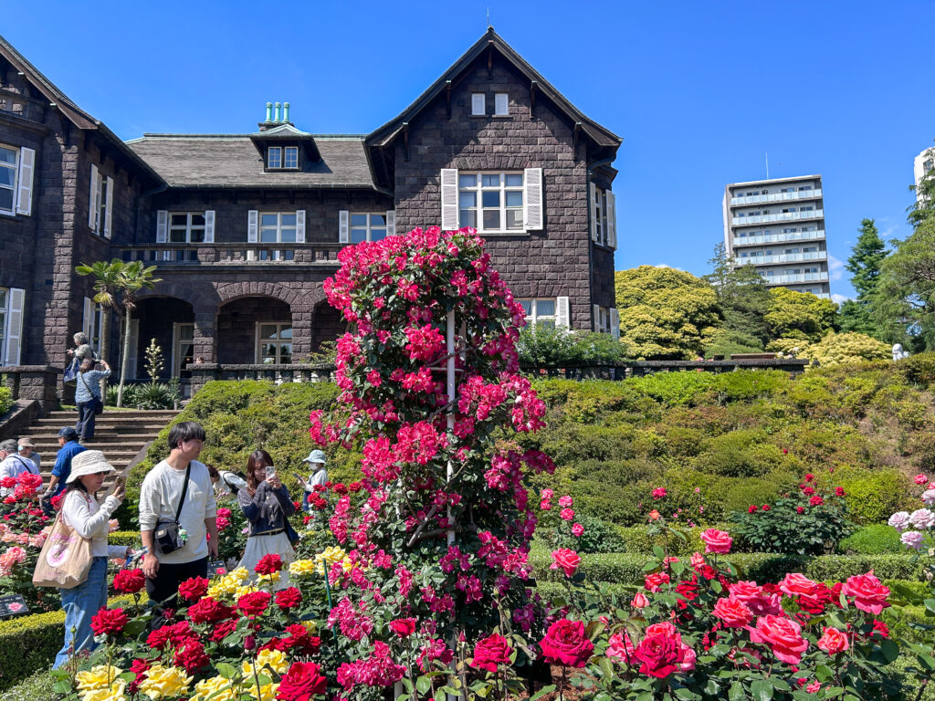 旧古河庭園_71