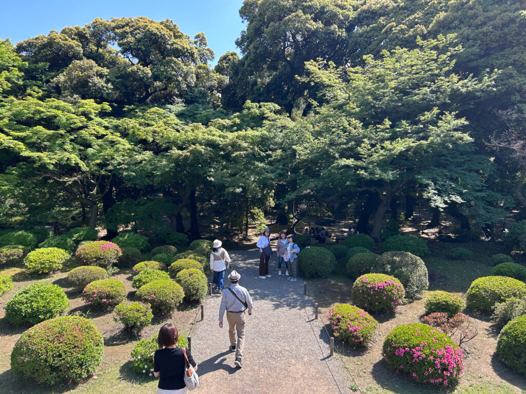 旧古河庭園_78