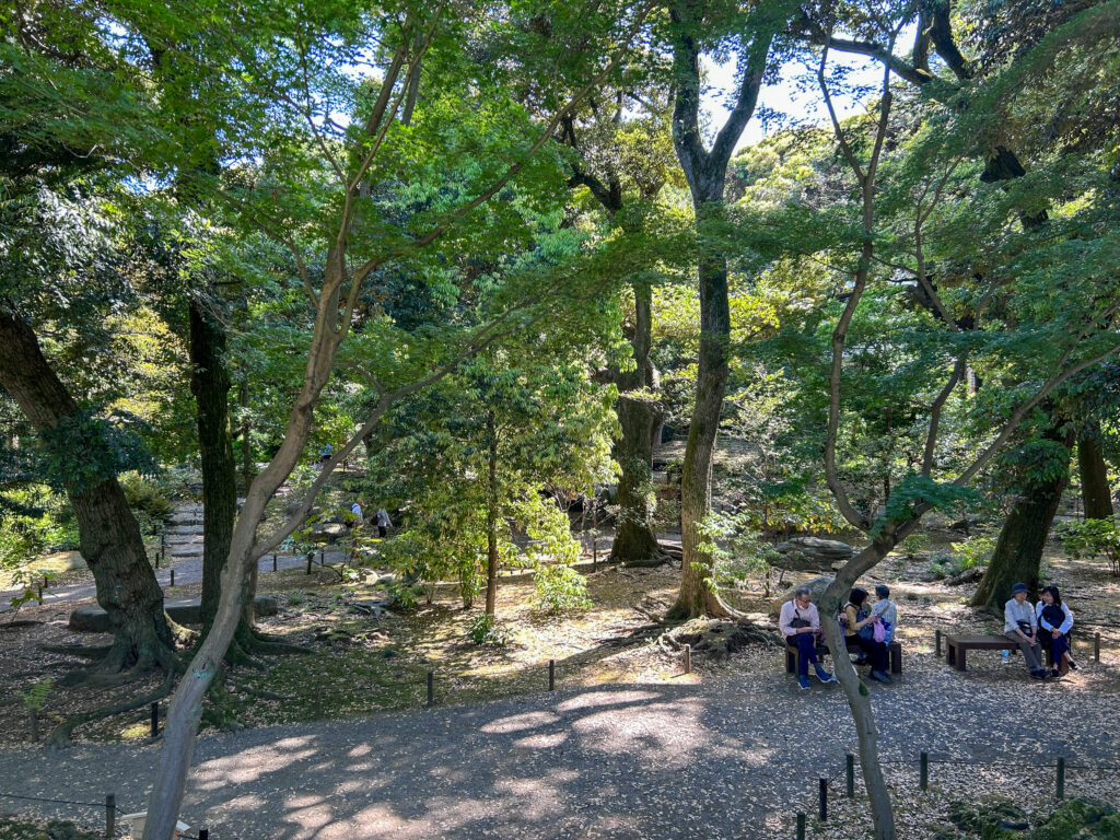 旧古河庭園_79
