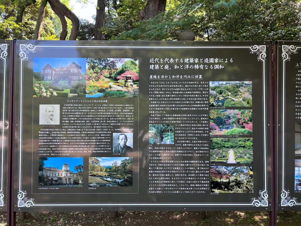 旧古河庭園_82